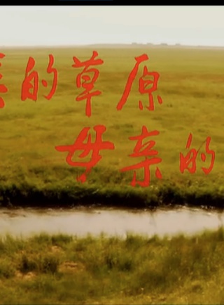 秦伯坤 秦伯坤