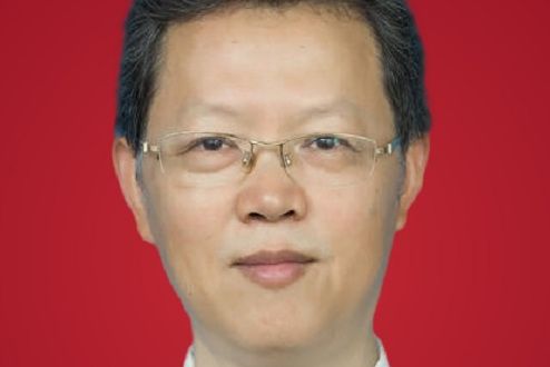 彭華(武漢大學教授) 彭華(武漢大學教授)