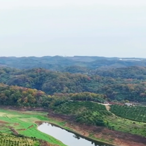 跑馬水庫 跑馬水庫