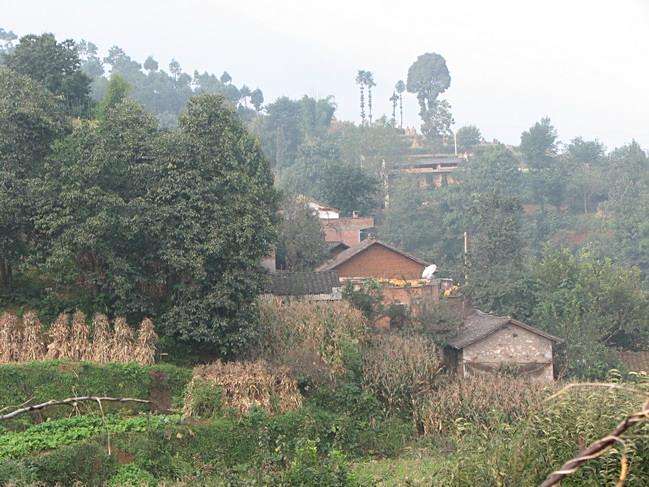 烏沙坪村 烏沙坪村
