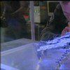 Replicators Replicators