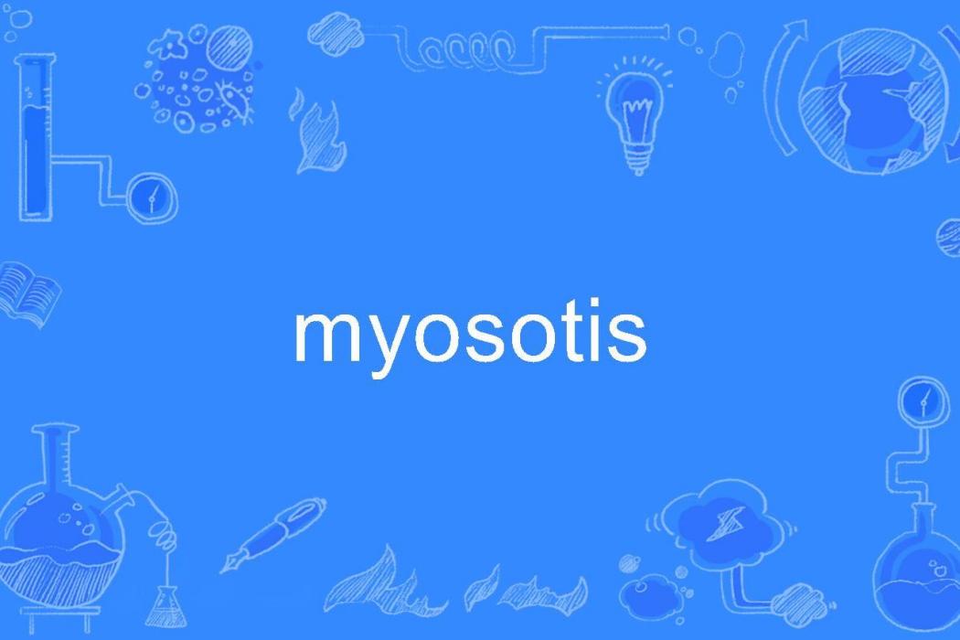 myosotis myosotis