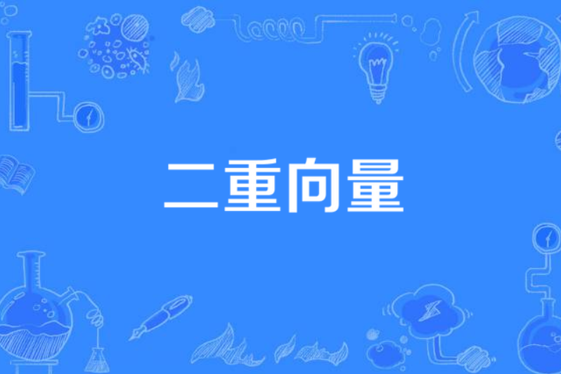 二重向量 二重向量