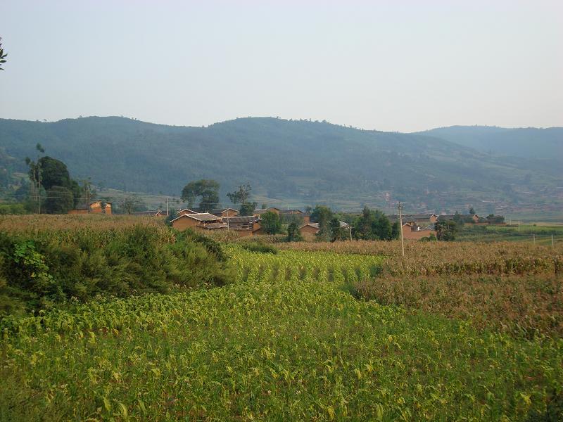 老悟村 老悟村