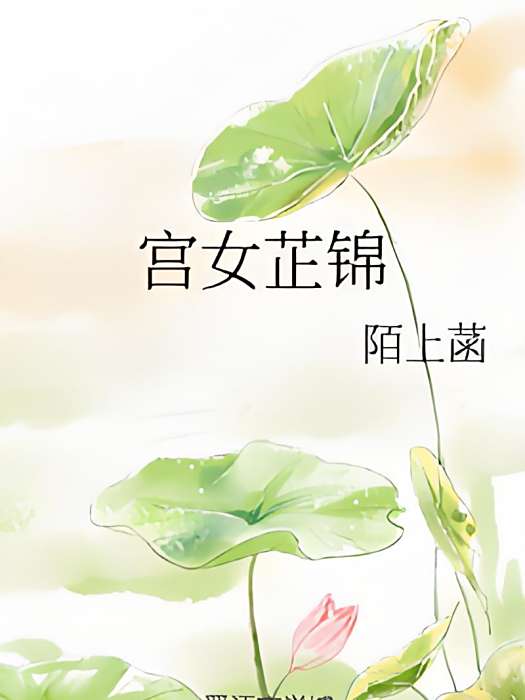 宮女芷錦 宮女芷錦