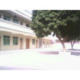 泉埇國小 泉埇國小