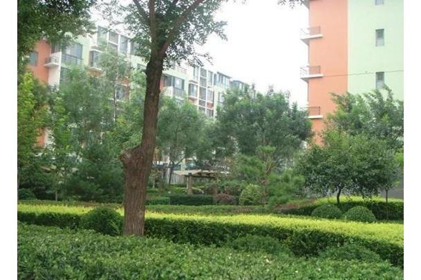 東關小區(北京市小區) 東關小區(北京市小區)