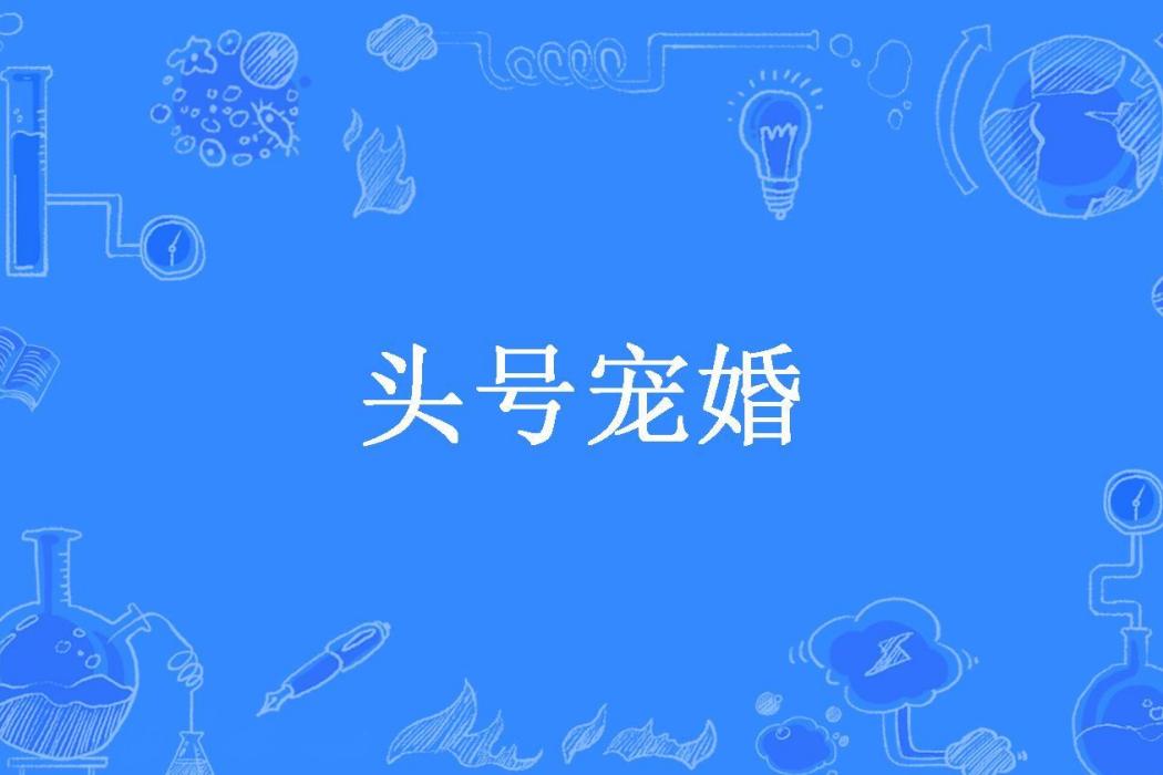 頭號寵婚(四兒所著小說) 頭號寵婚(四兒所著小說)