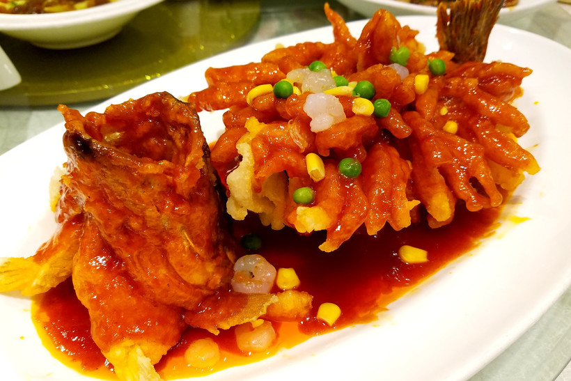 松鼠鱸魚 松鼠鱸魚