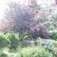 先奇園 先奇園