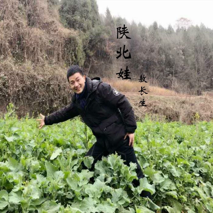 陝北娃(敖長生演唱歌曲) 陝北娃(敖長生演唱歌曲)