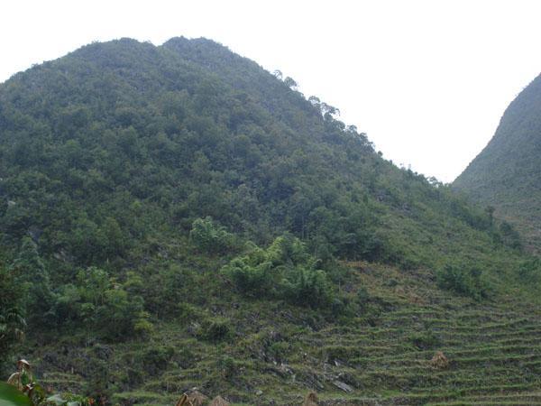 上石盆村 上石盆村