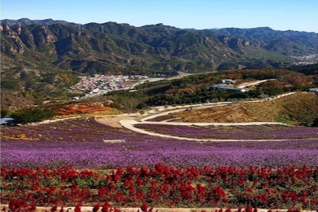 南天麗景 南天麗景