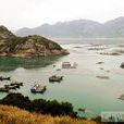 赤才村 赤才村