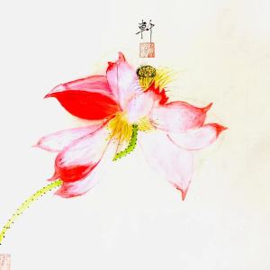 宮梓軒