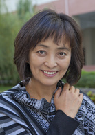 女婿難當(2012年馮興華執導電視劇)