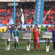 中國職業足球聯賽