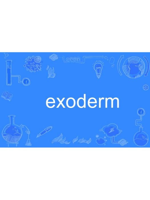 exoderm exoderm