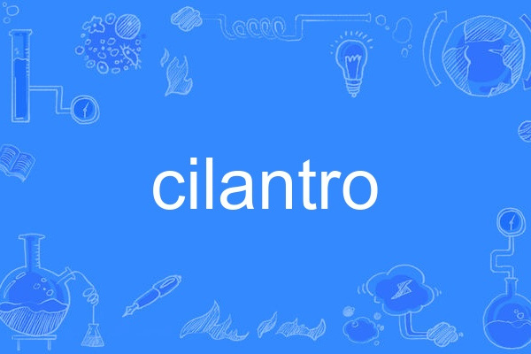 cilantro cilantro