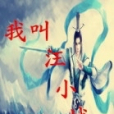我叫汪小城 我叫汪小城