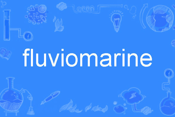 fluviomarine fluviomarine