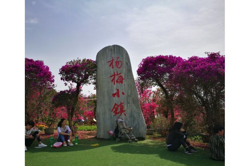 楊梅小鎮 楊梅小鎮