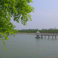 三十里廟村 三十里廟村