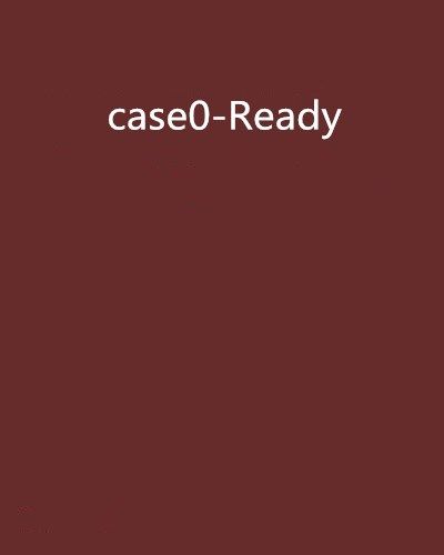 case0-Ready case0-Ready