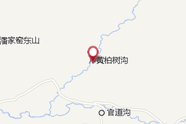 黃柏樹 黃柏樹