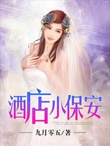 酒店小保全 酒店小保全