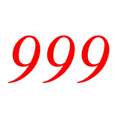 999(自然數之一)