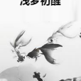 淺夢初醒 淺夢初醒