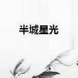 半城星光 半城星光