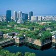 13號地公園 13號地公園