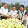 於來政 於來政