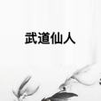 武道仙人 武道仙人