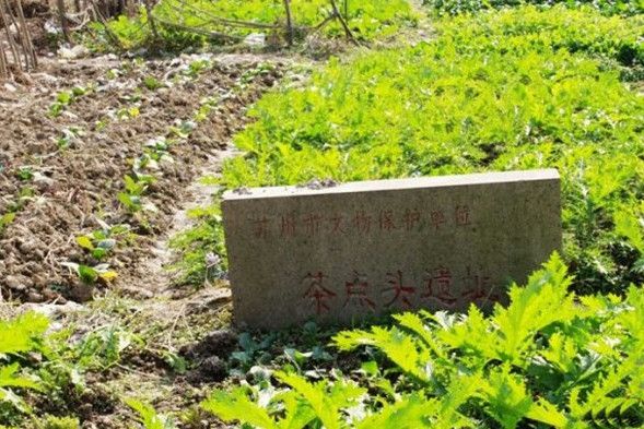 茶店頭遺址 茶店頭遺址