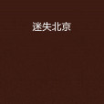 迷失北京(雙人魚著網路小說) 迷失北京(雙人魚著網路小說)