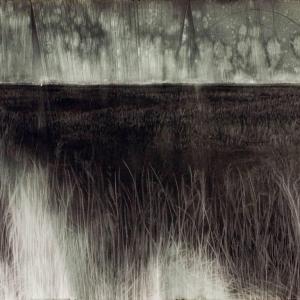 Judith Brandon