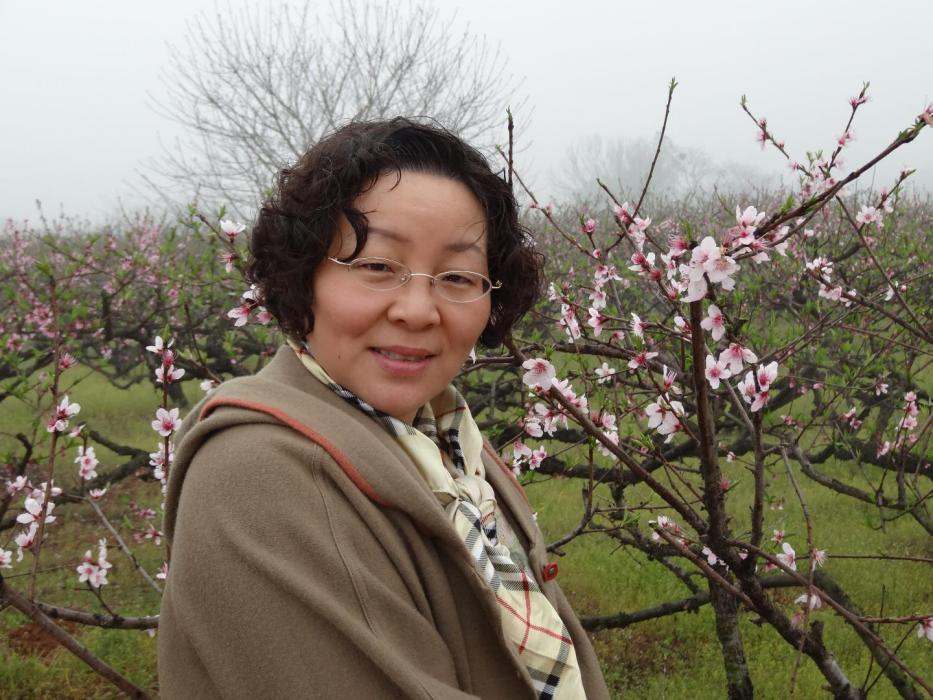 胡遠珍 胡遠珍
