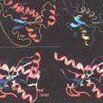 衛星RNA 衛星RNA