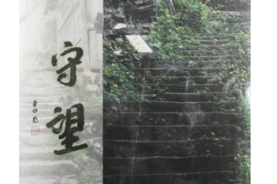 守望(2012年陝西太白文藝出版社出版的圖書) 守望(2012年陝西太白文藝出版社出版的圖書)