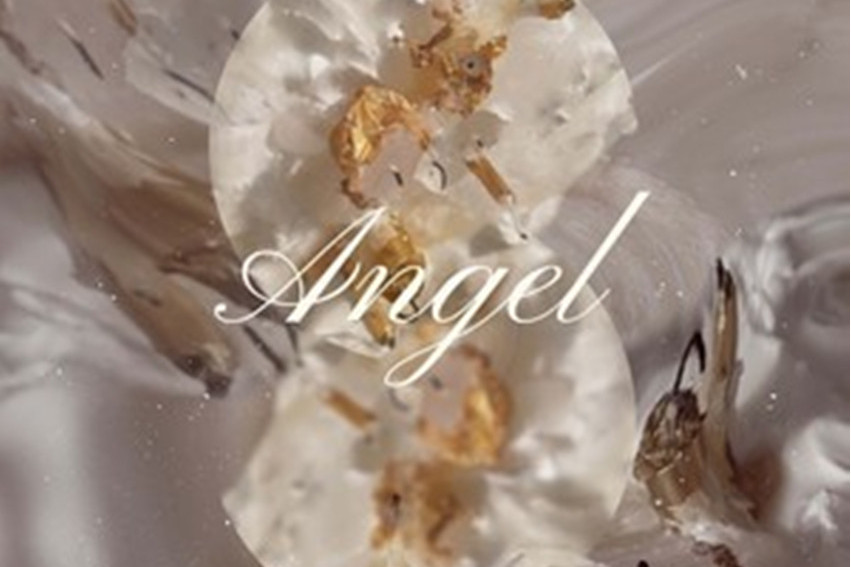 Angel(韓國女歌手鬆雨演唱的歌曲) Angel(韓國女歌手鬆雨演唱的歌曲)