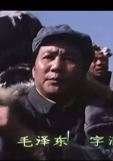 大決戰之遼瀋戰役(遼瀋戰役（1991年李俊執導電影）)
