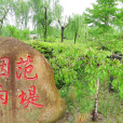 范堤煙雨 范堤煙雨