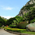 南溪山公園