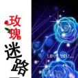 玫瑰迷路了 玫瑰迷路了