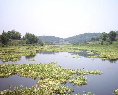 瀋水河 瀋水河