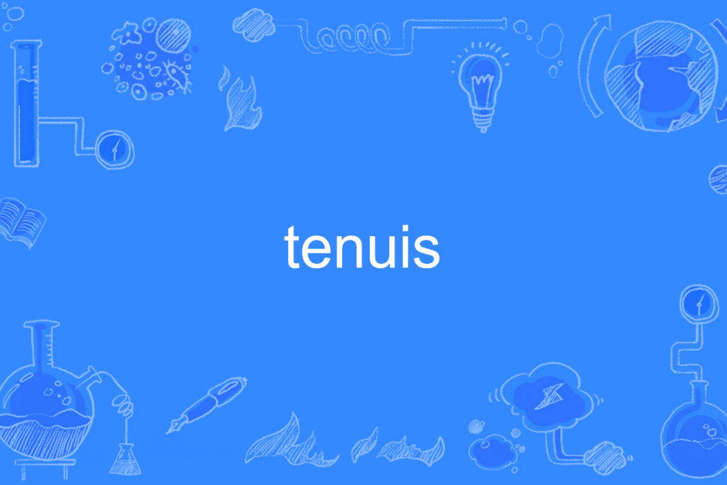 tenuis tenuis