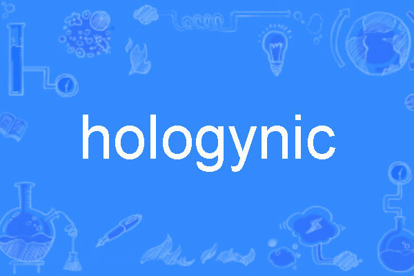hologynic hologynic